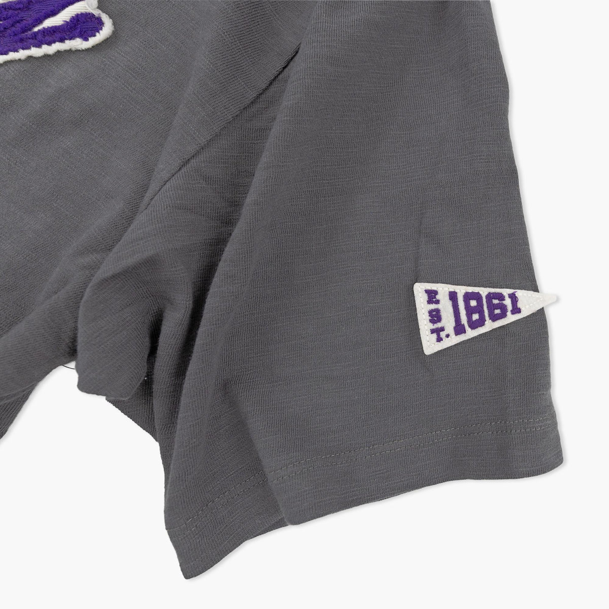 Washington Huskies Vintage Heather Heavyweight T-Shirt