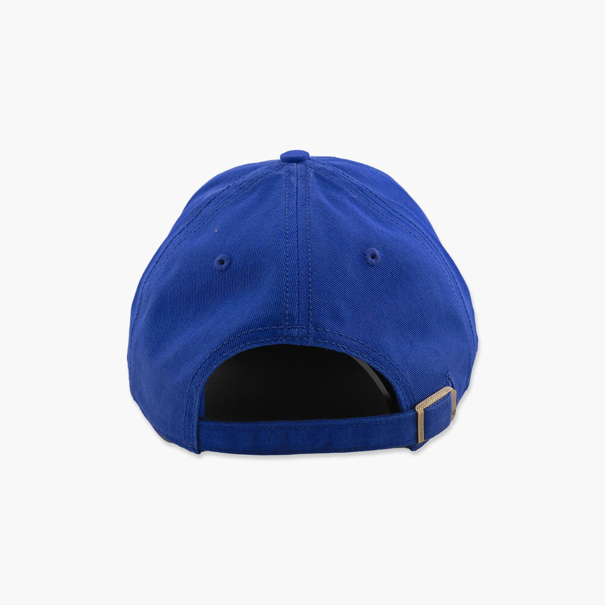 Seattle Seahawks Royal Circle Tone MVP Adjustable Hat