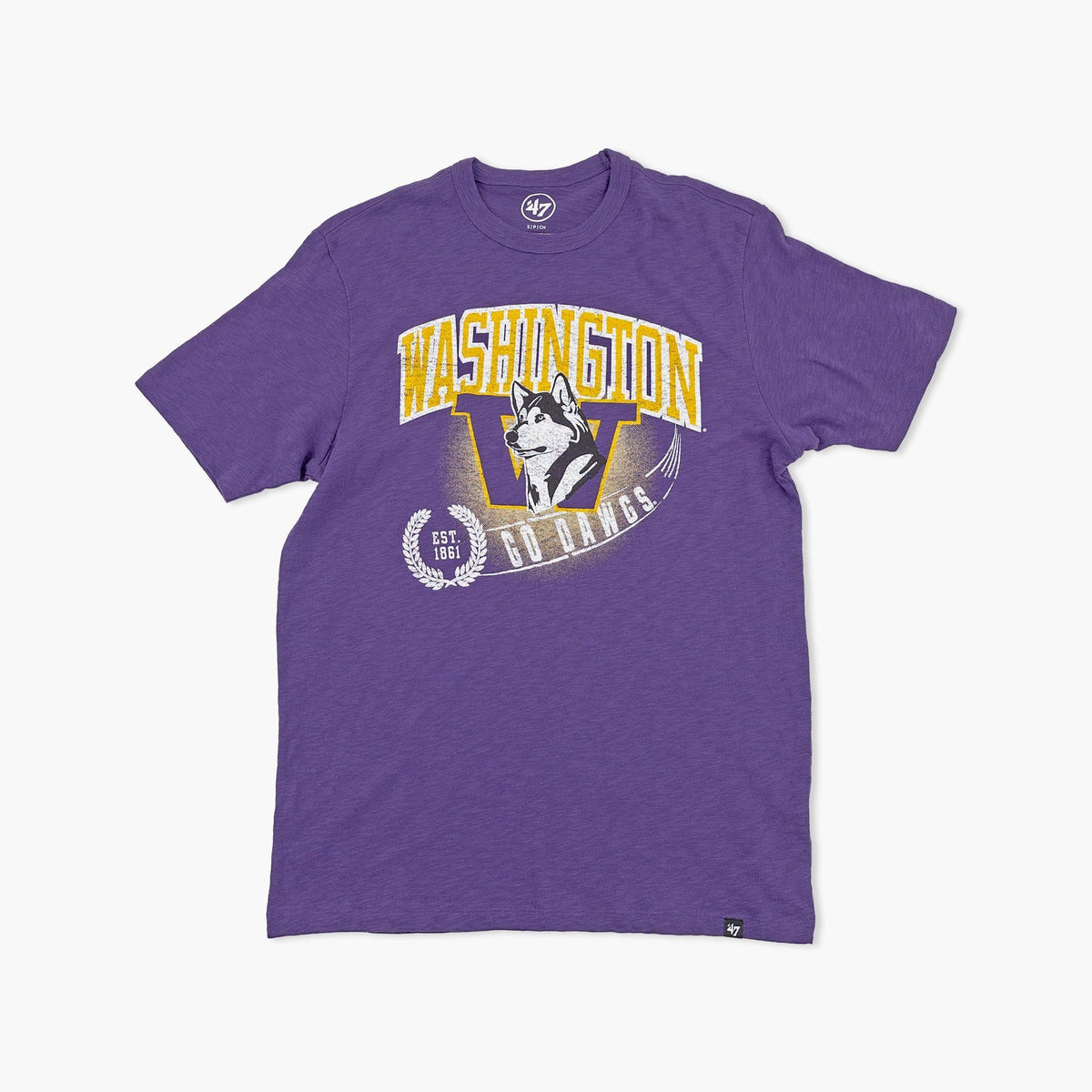 Washington Huskies Purple Team Streak Vintage T-Shirt