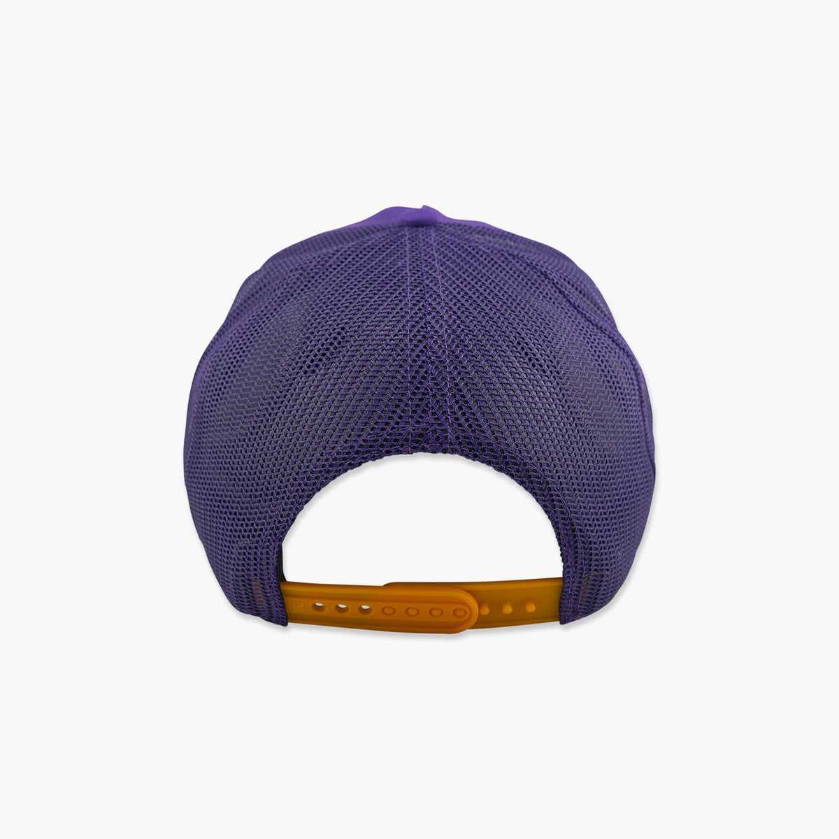 Washington Huskies Purple Deluxia Hitch Snapback