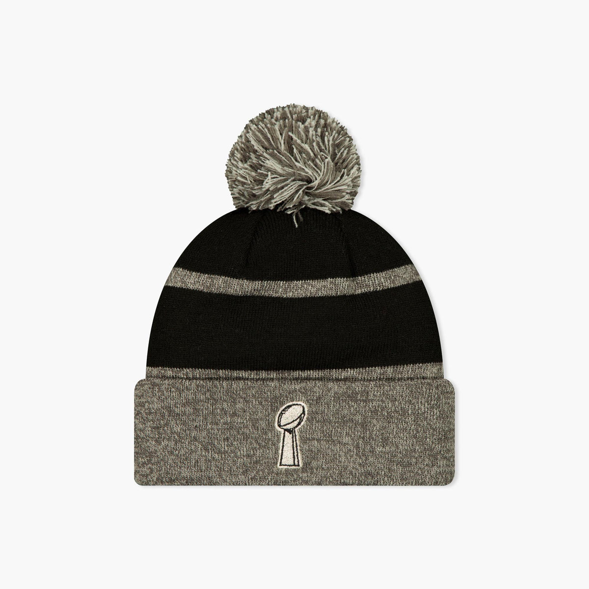 Seattle Seahawks Parade Super Bowl Champions Beanie