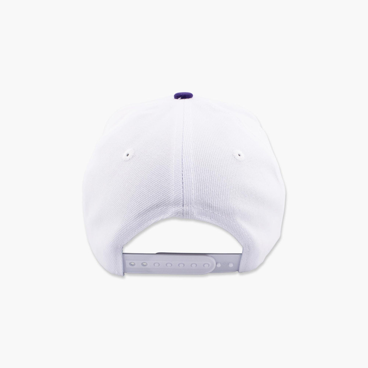Washington Huskies Two-Tone Cherry Blossom Snapback