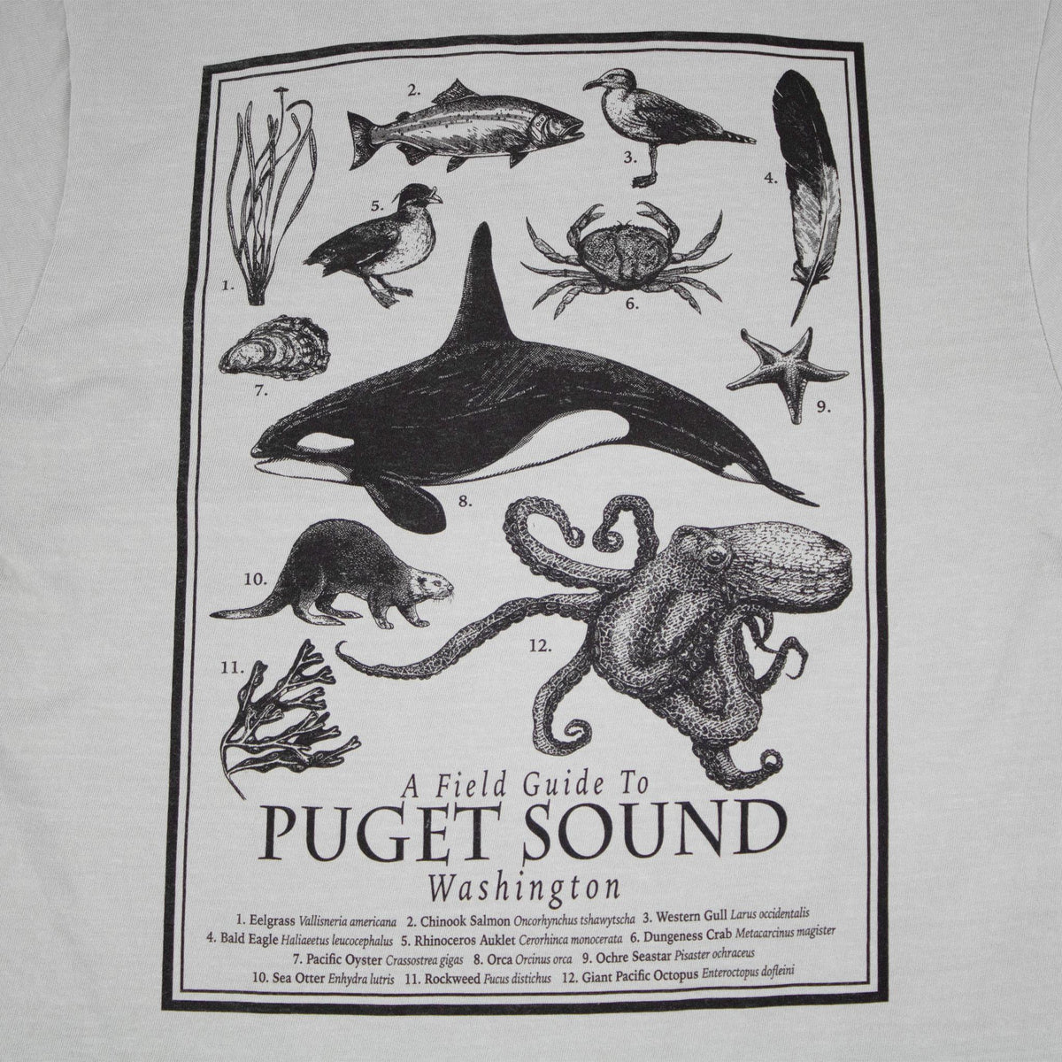 Field Guide Bay Puget Sound T-Shirt
