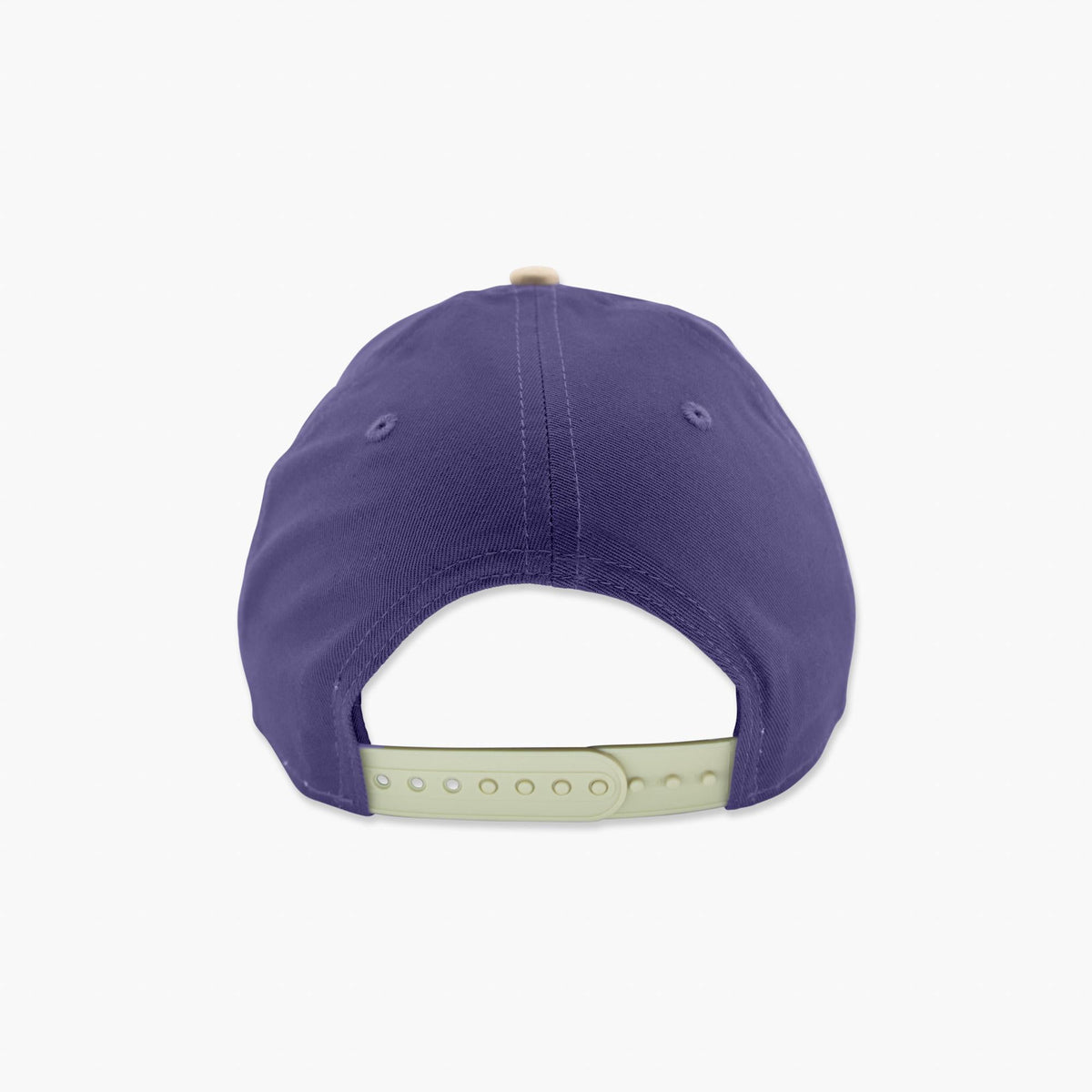 Washington Huskies Modern Purple Arched Snapback