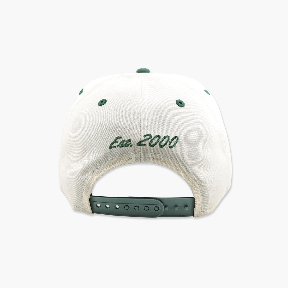 Seattle Storm Arched Snapback