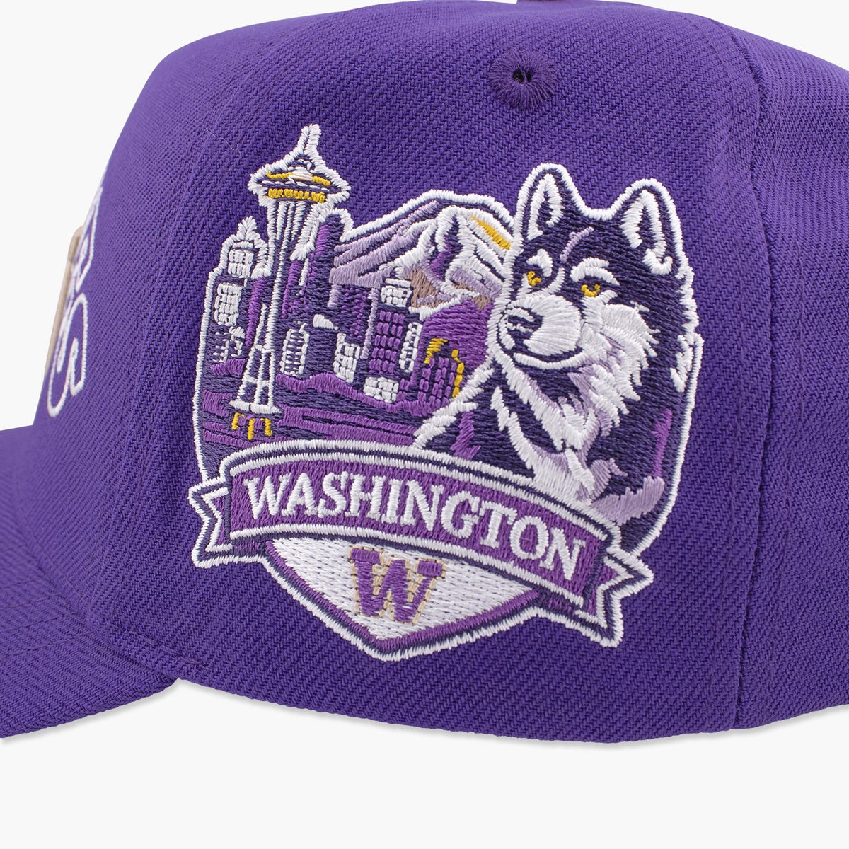 Washington Huskies Purple Block Text Dawg Pack Snapback