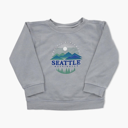 Blazefury Steel Grey Seattle Toddler Crewneck