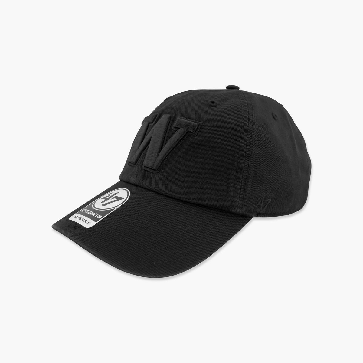Washington Huskies Blackout Clean Up Adjustable Hat