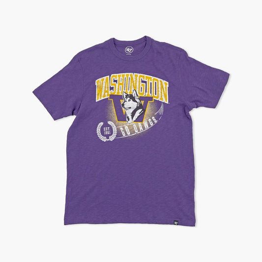 Washington Huskies Purple Team Streak Vintage T-Shirt