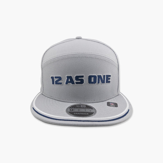 Seattle Seahawks Grey 12 As One Split Panel Snapback