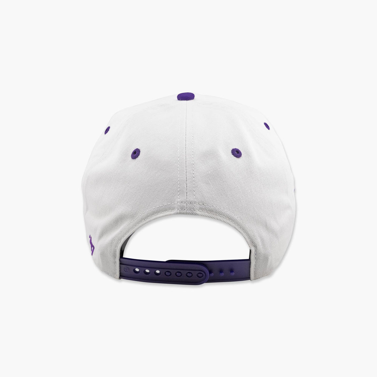 Washington Huskies White Diamond Dawgs Hitch Snapback