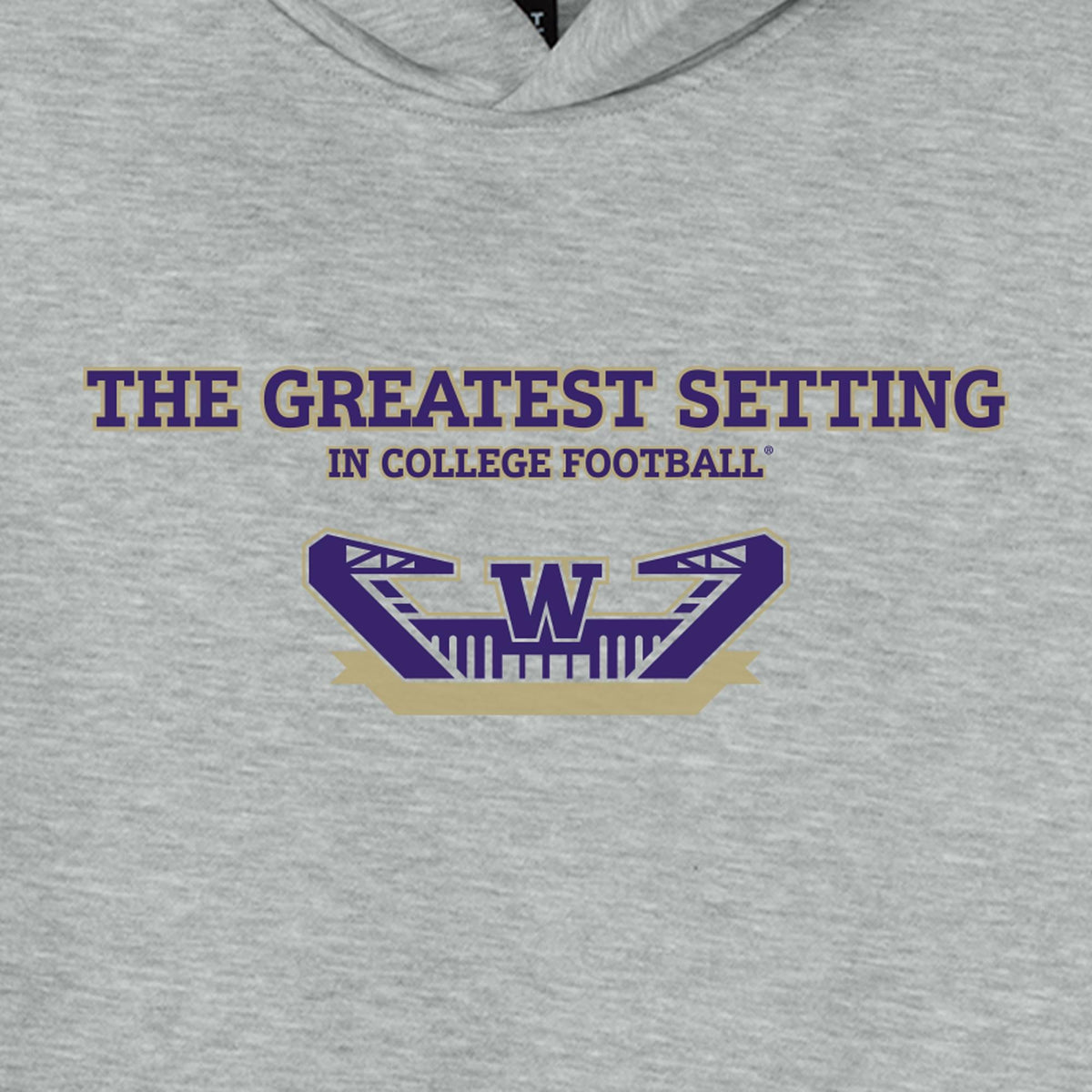 Washington Huskies Gray The Greatest Setting Statement Heavyweight Hoodie