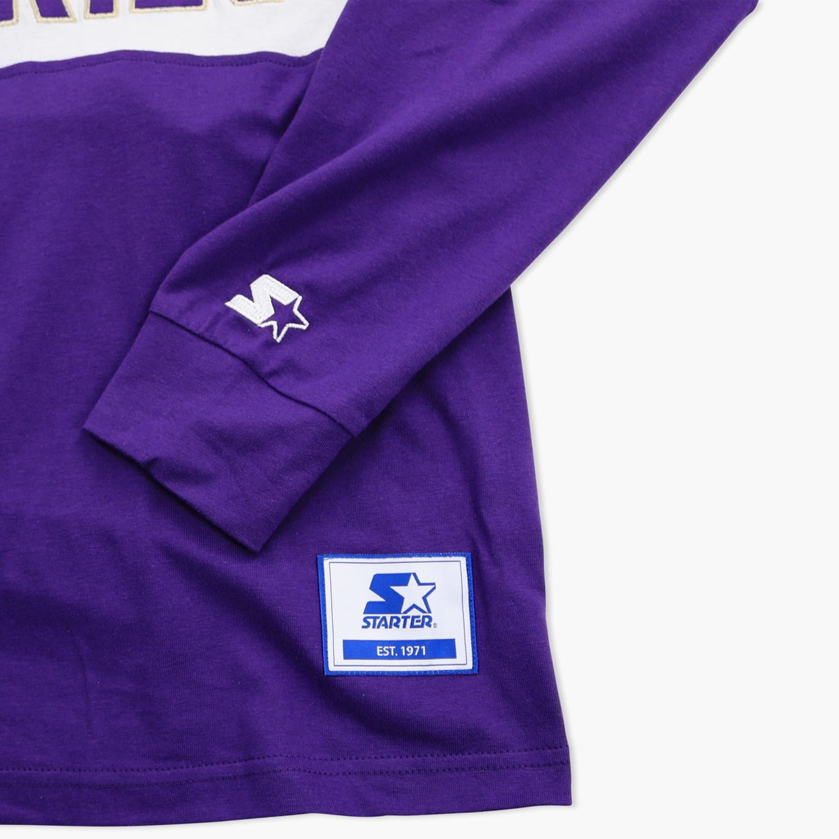 Washington Huskies Purple Stripe Lightweight Hoodie